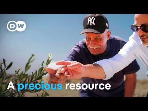 Water scarcity - Innovation to combat drought | DW Documentary