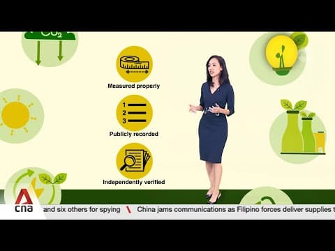 What are carbon credits and how do they work?