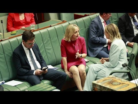 Liberals ‘sitting on the fence’ with net zero