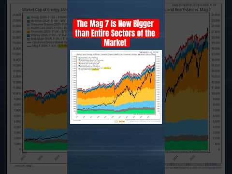 The Mag 7 Is Now Bigger than Entire Sectors of the Market