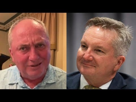 Barnaby Joyce blasts Chris Bowen’s free energy plan