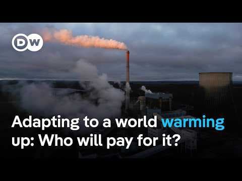 'The transition away from fossil fuels and adaptation' to dominate COP30 agenda - analyst | DW News