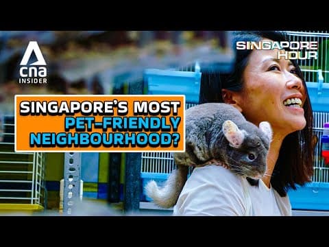 4 Hidden Gems You'll Find In Serangoon | Singapore Hour