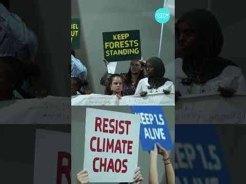 COP30 - Everything you need to know