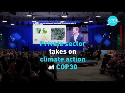 Private sector takes on climate action at COP30