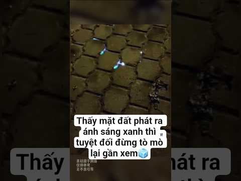 Thấy mặt đất phát ra ánh sáng xanh thì tuyệt đối đừng tò mò lại gần xem #shorts