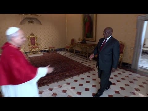 Pope Leo meets South Africa's President Ramaphosa at the Vatican | REUTERS