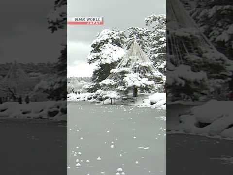 A world in white at a traditional garden inーNHK WORLD-JAPAN NEWS #shorts