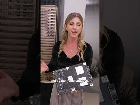 What's the difference between all of the AI chips?