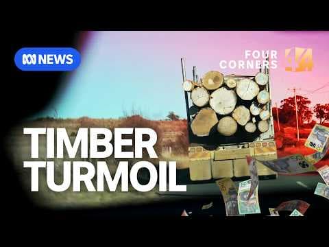 More than 100 million dollars of taxpayer-dollars invested into Victorian logging company | 4Corners