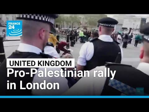 Pro-Palestinian rally in London: Over 500 arrested • FRANCE 24 English