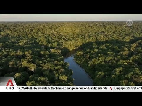What to expect as world leaders gather in Brazil ahead of COP30 climate summit