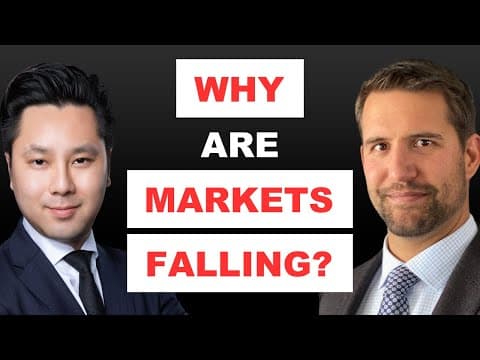 'Investors Are Panicking' In Huge Sell-Off; What's Next For Stocks, Gold, Bitcoin? | Chris Vermeulen