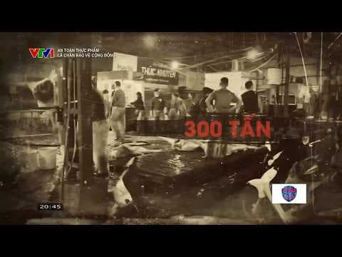 300 tấn thực phẩm bẩn vào trường học - Trách nhiệm thuộc về ai? | VTV24