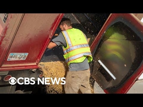 Iowa farmers' incomes to decline amid trade war, no farm bill allocations, report finds