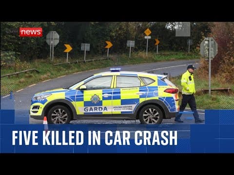 Three men and two women in their 20s have died in car crash in Co Louth, Irish police say