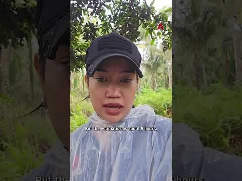 Mount Dukono eruption: Bodies of 2 Singaporean hikers found, officials say