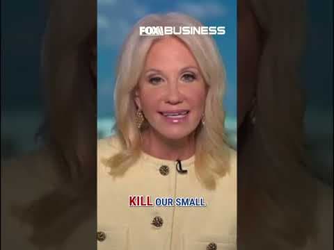 What is it the Democrats stand for?: Kellyanne Conway #shorts