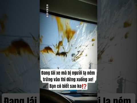 Đang lái xe mà bị người lạ ném trứng vào thì đừng xuống xe! Bạn có biết sao ko #shorts