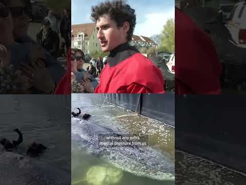 Stranded whale 'Timmy' guided onto rescue barge