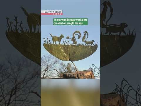 Japanese artist transforms leaves into artーNHK WORLD-JAPAN NEWS #shorts